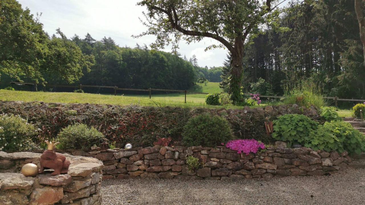 Ferienhaus Vulkaneifel Landhaus Loogh Kerpen  Eksteriør billede