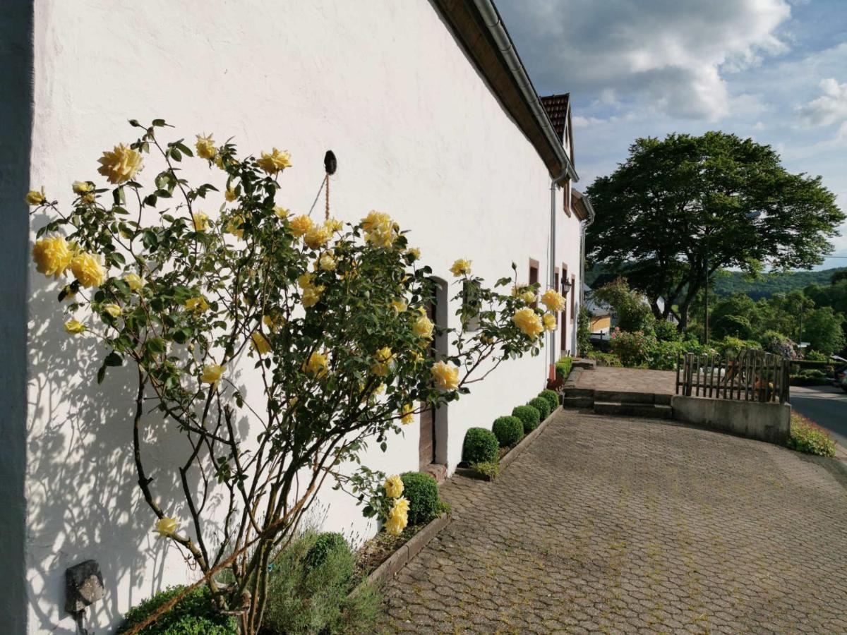 Ferienhaus Vulkaneifel Landhaus Loogh Kerpen  Eksteriør billede