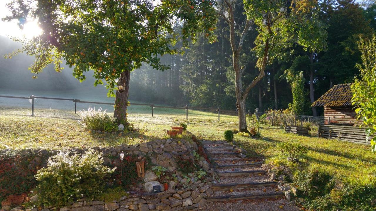 Ferienhaus Vulkaneifel Landhaus Loogh Kerpen  Eksteriør billede