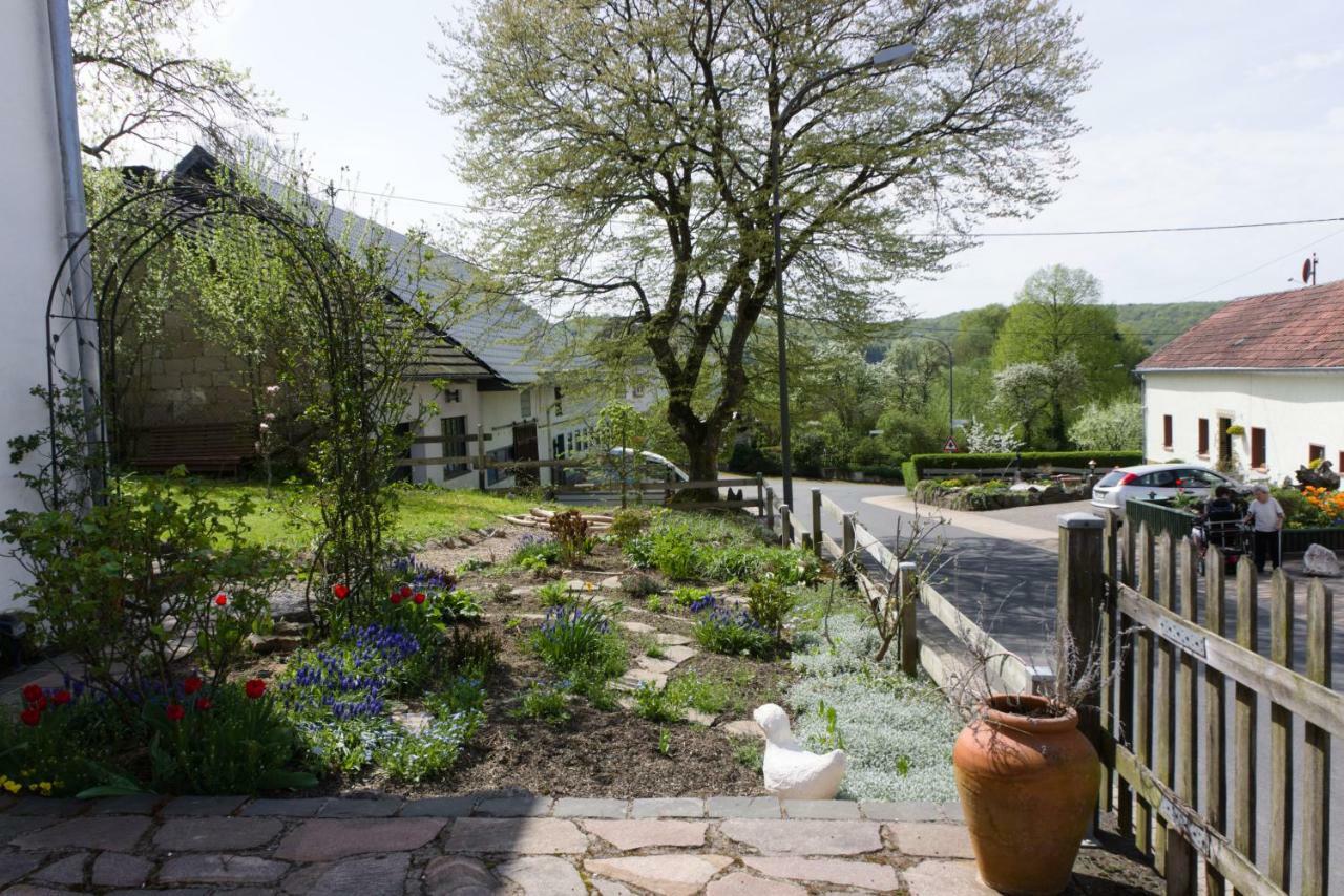 Ferienhaus Vulkaneifel Landhaus Loogh Kerpen  Eksteriør billede