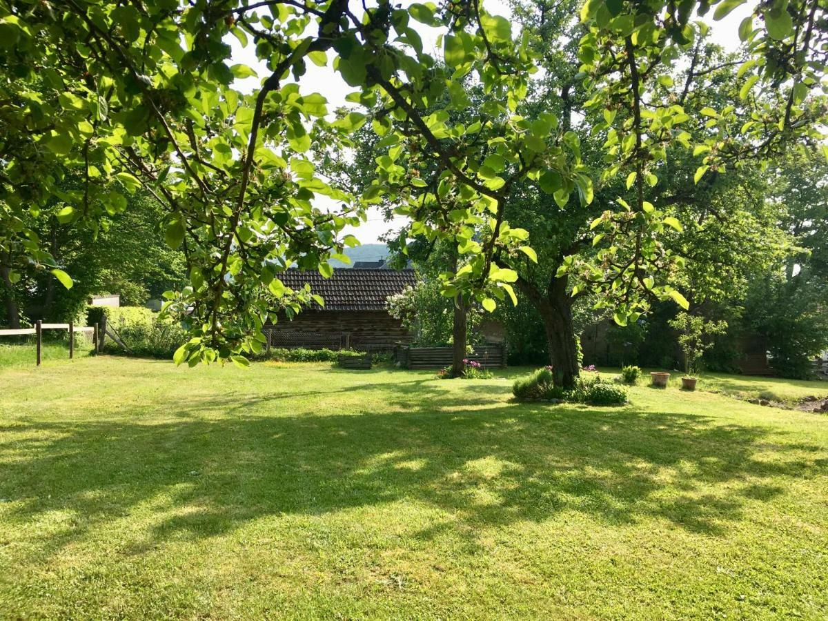 Ferienhaus Vulkaneifel Landhaus Loogh Kerpen  Eksteriør billede