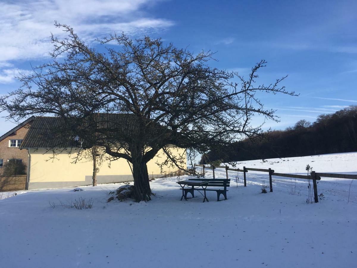 Ferienhaus Vulkaneifel Landhaus Loogh Kerpen  Eksteriør billede